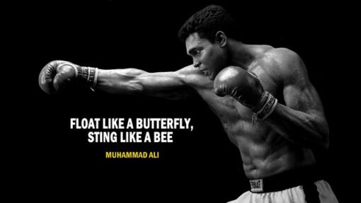 Ali Boxer Sting Quote